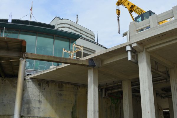 Cost of Piering Service in Dunedin