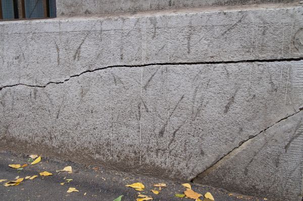 Cost of Structural Foundation Repair in Dunedin