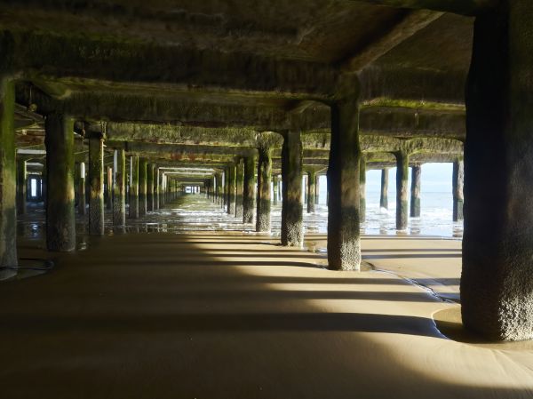 Concrete Pier Repair in Dunedin