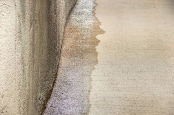 Cost of Leaking Foundation Repair in Dunedin